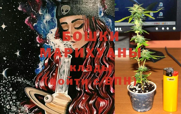 PSILOCYBIN Баксан
