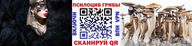 Галлюциногенные грибы мицелий  Вельск 